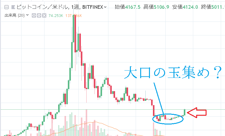 ビットコイン大口投資家（クジラ）が底値圏と見ている可能性が高い