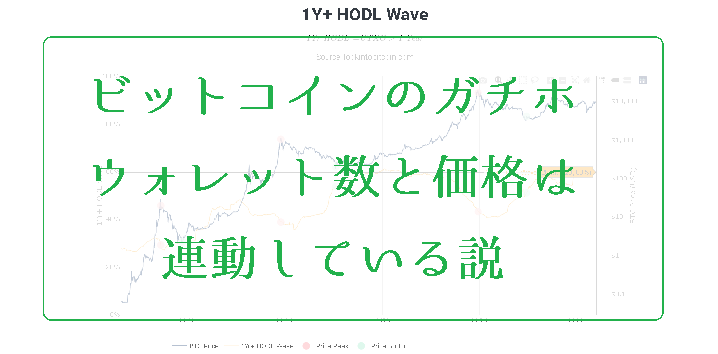 HODL Wave】ビットコインのガチホウォレット数増加と価格上昇の逆相関を検証 | ビットコイン狂騒曲