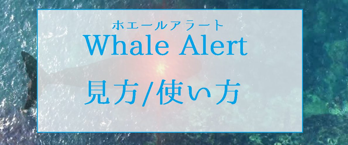 Whale Alert(ホエールアラート)の見方/使い方を解説。大口の資金移動やUSDT発行など察知