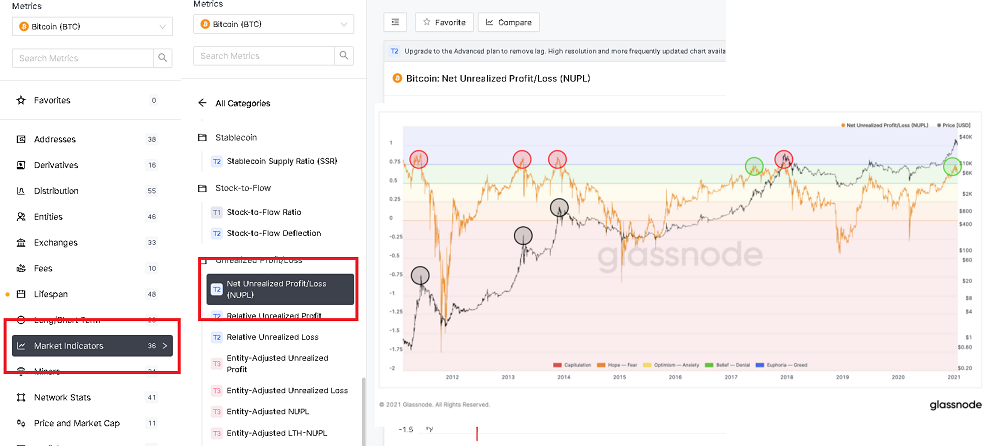 glassnode-NUPL (Net Unrealized Profit/Loss)