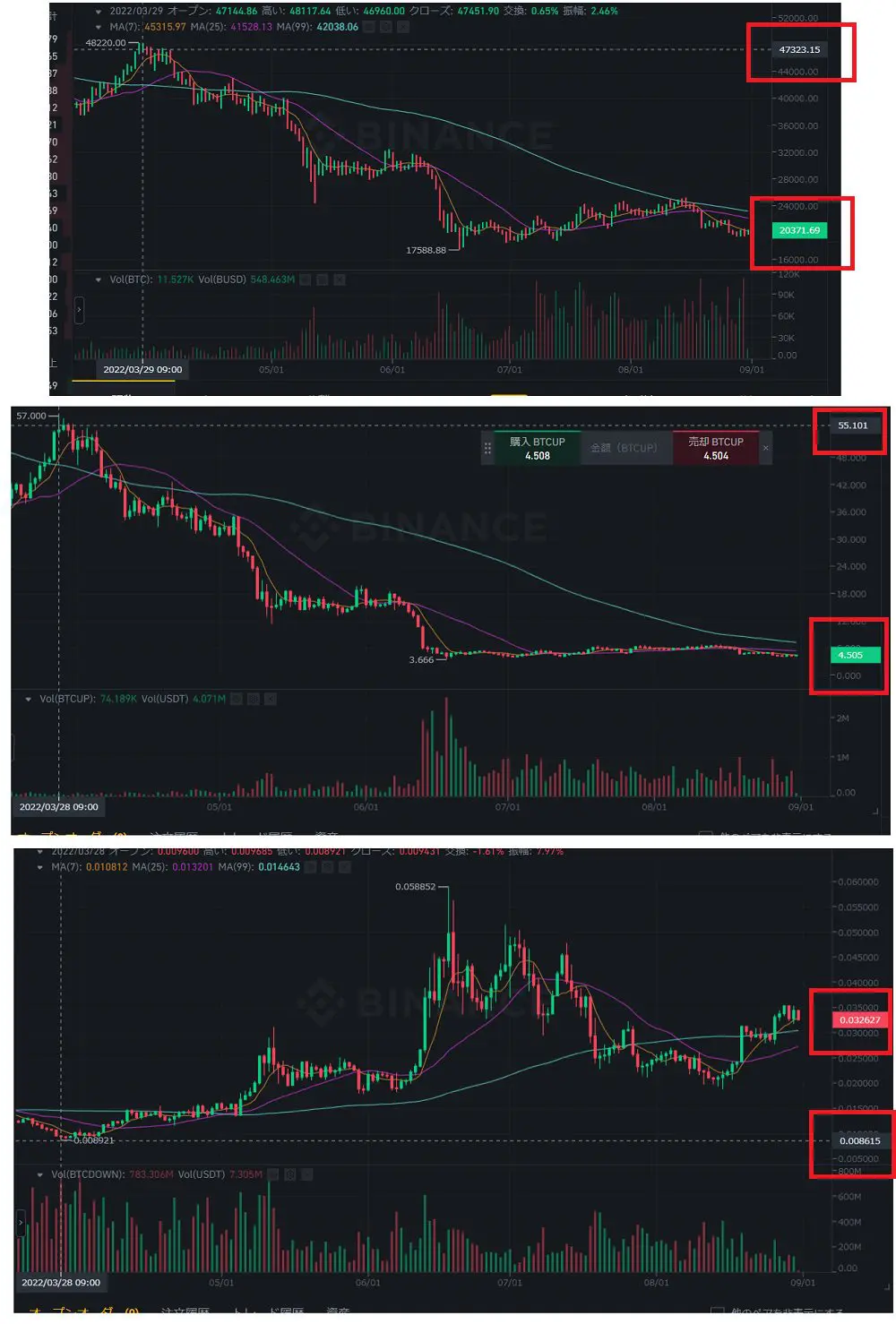 レバレッジトークンの使い方｜デメリットとトレード戦略【Binance・Bybit比較】 | ビットコイン狂騒曲